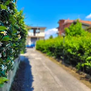 Green Home , Roma Italia